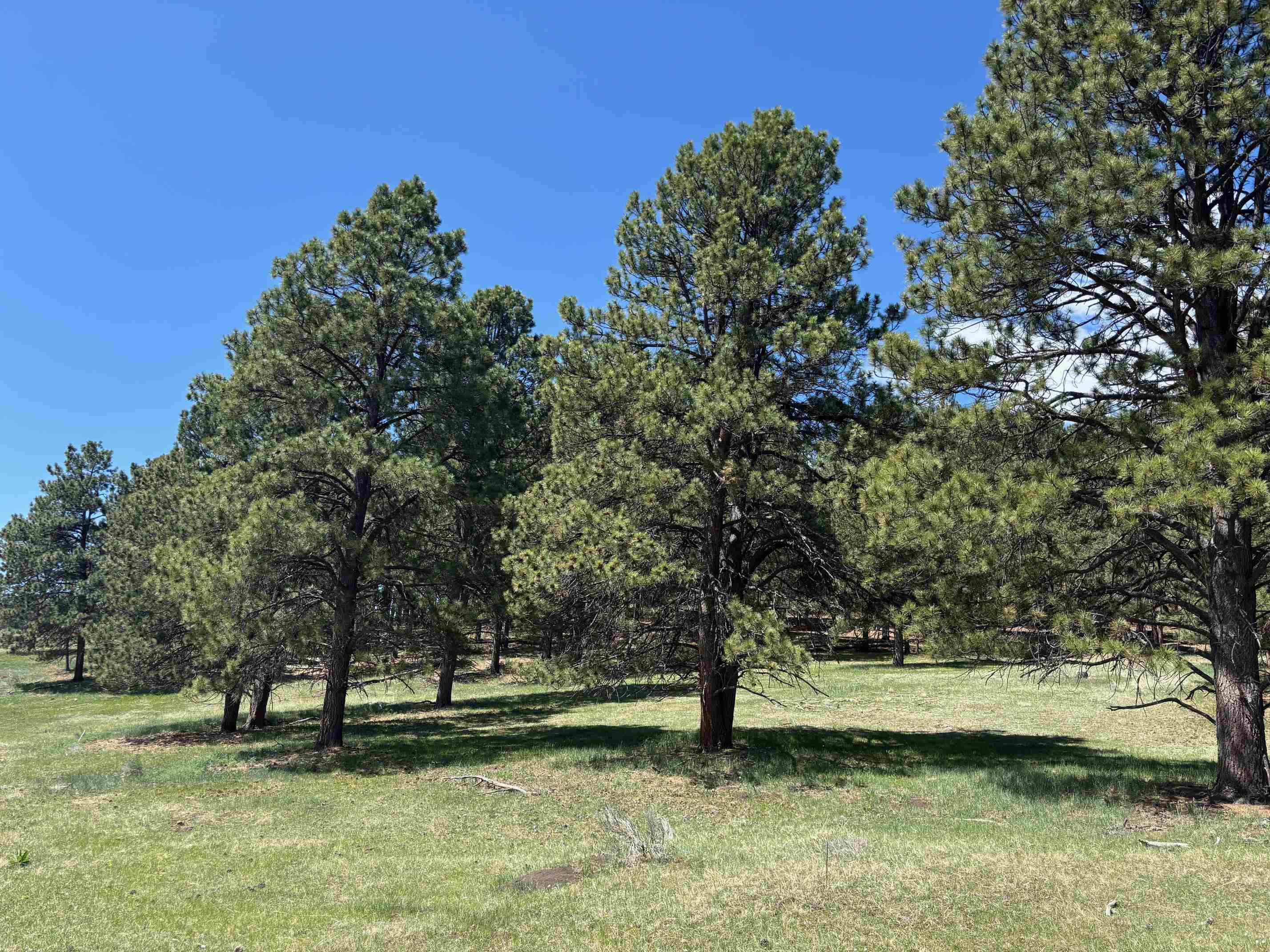 27989 US HWY 64