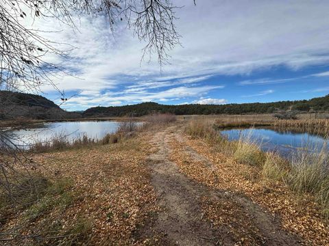 1496 NM 522 San Cristobal NM 87564