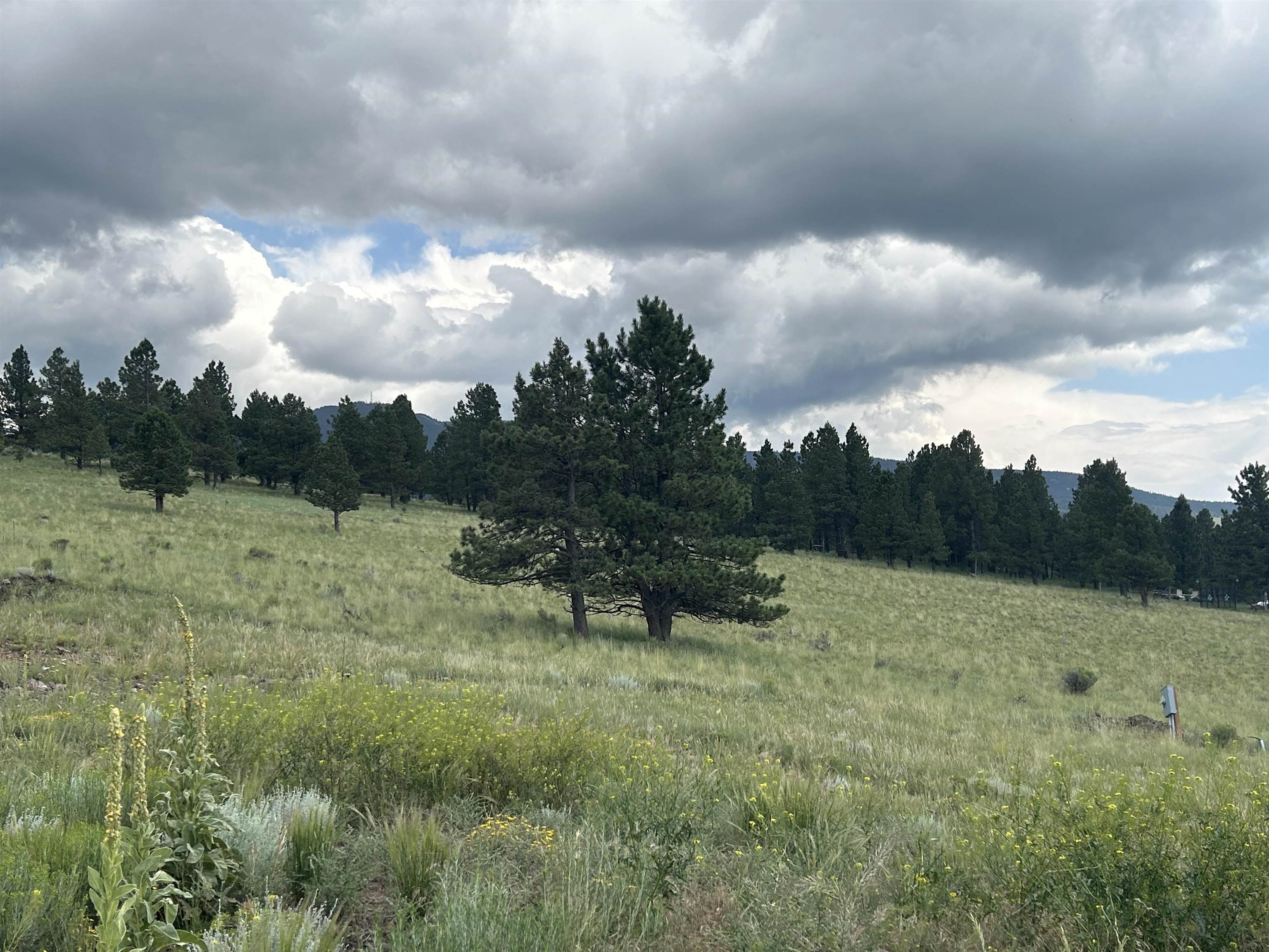 Lot 16 And 17 Saddleback Trail, Angel Fire, New Mexico image 5