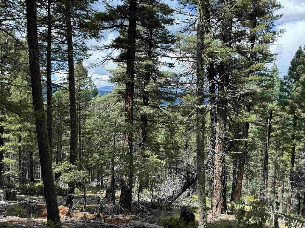 Photo of Lot 123 Valley Rd, Angel Fire, NM 87710 (MLS # 114026)