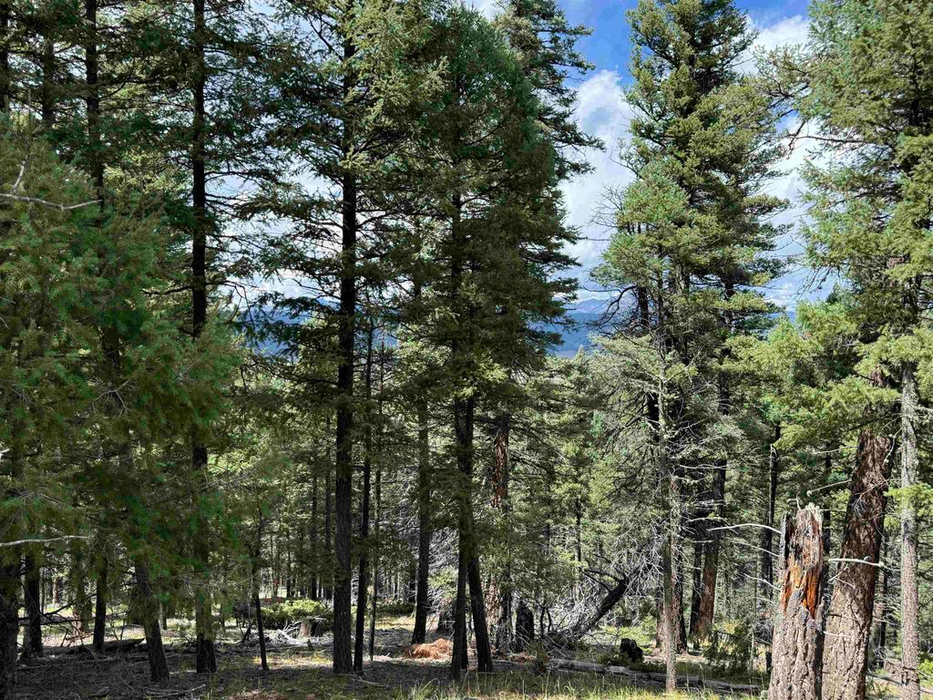 Photo of Lot 123 Valley Rd, Angel Fire, NM 87710 (MLS # 114026)