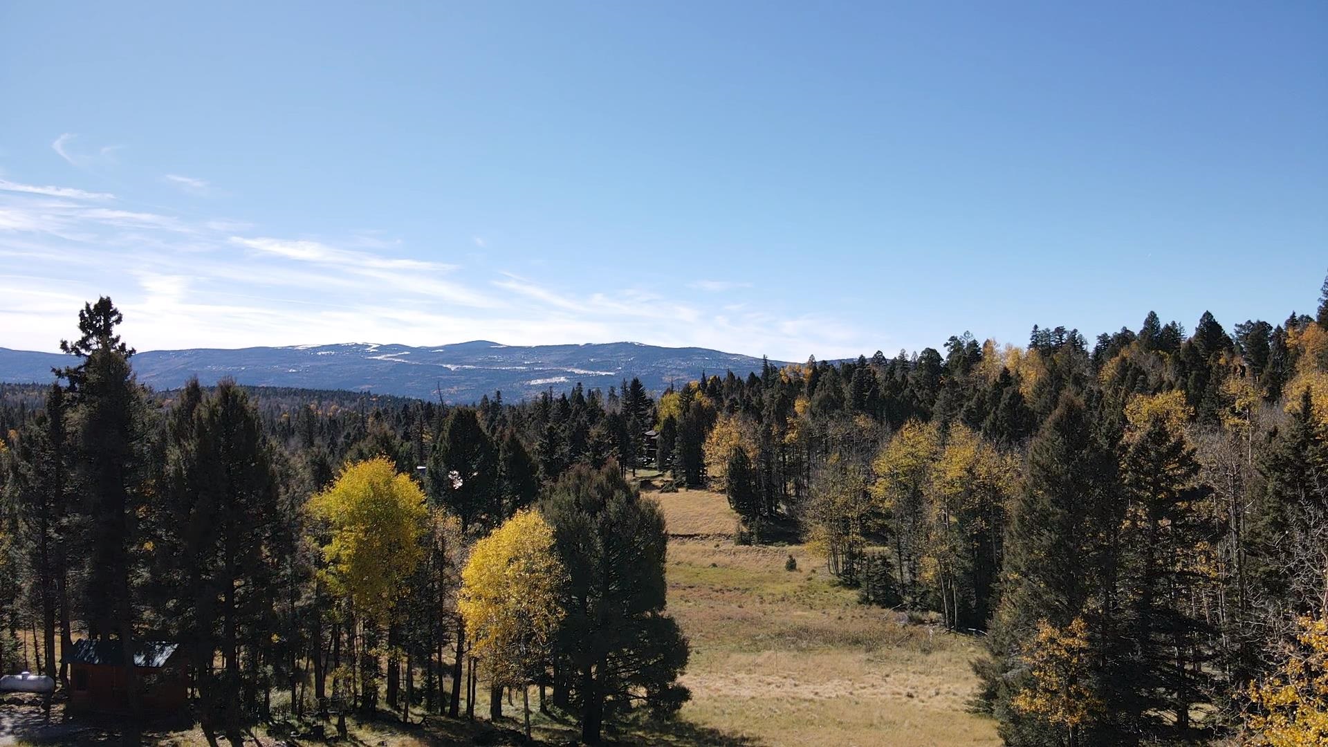 Lot 1502 Vista Del Sur, Angel Fire, New Mexico image 3