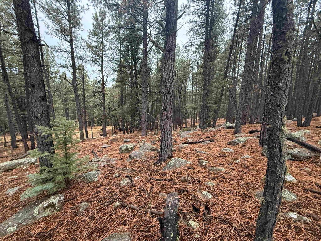 Photo of Lot 80 San Juan Dr, Angel Fire, NM 87710 (MLS # 114313)