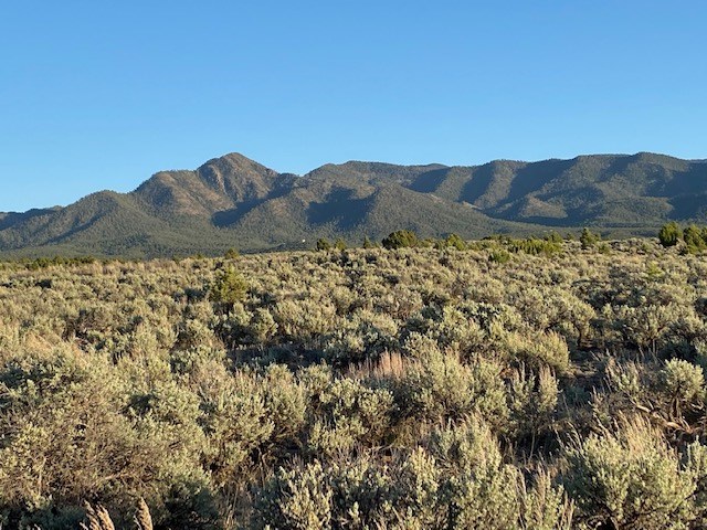 County Rd 110 Lot 13, Ranchos de Taos, New Mexico image 2