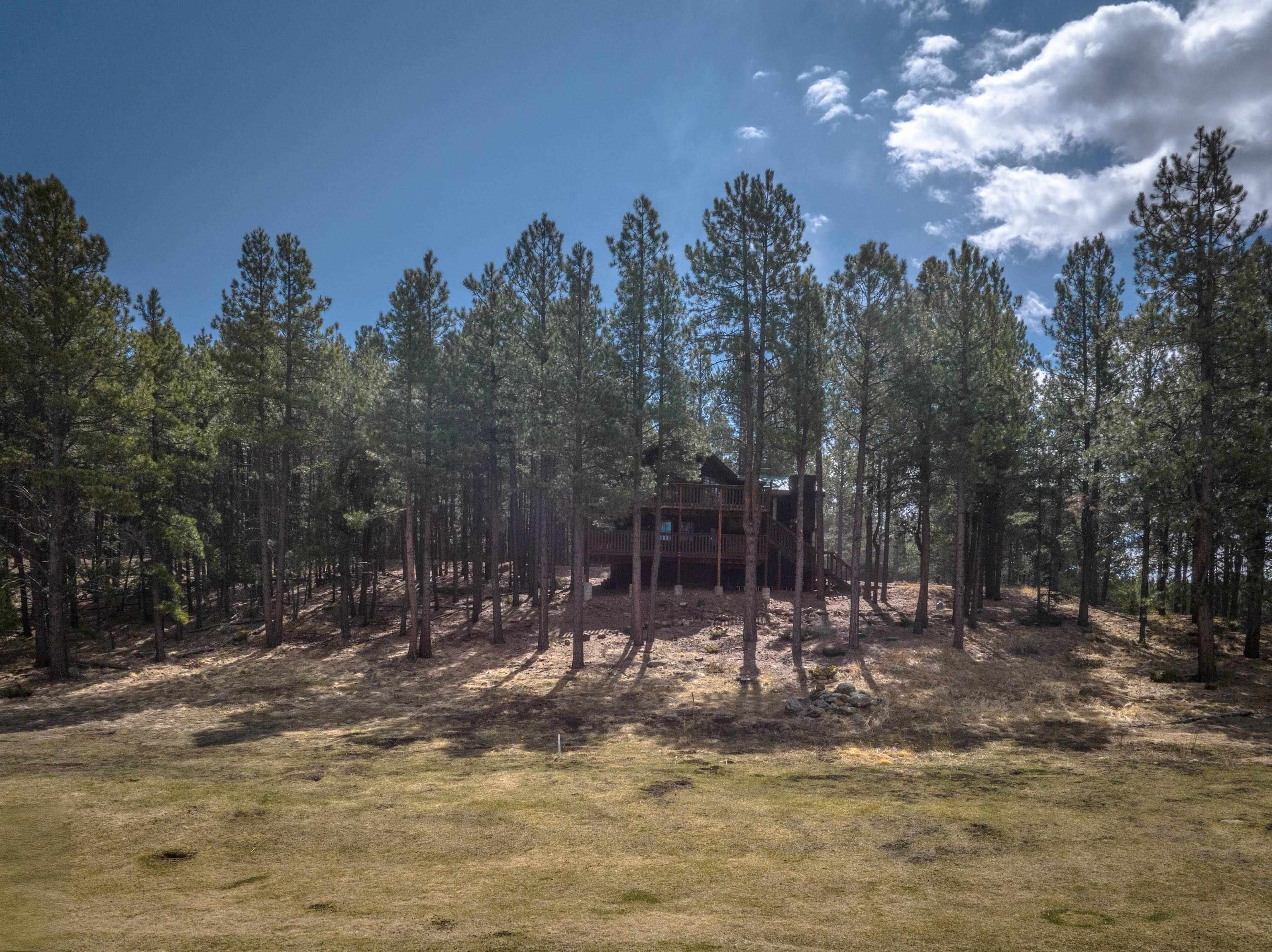 15 Champions Terrace, Angel Fire, New Mexico image 42