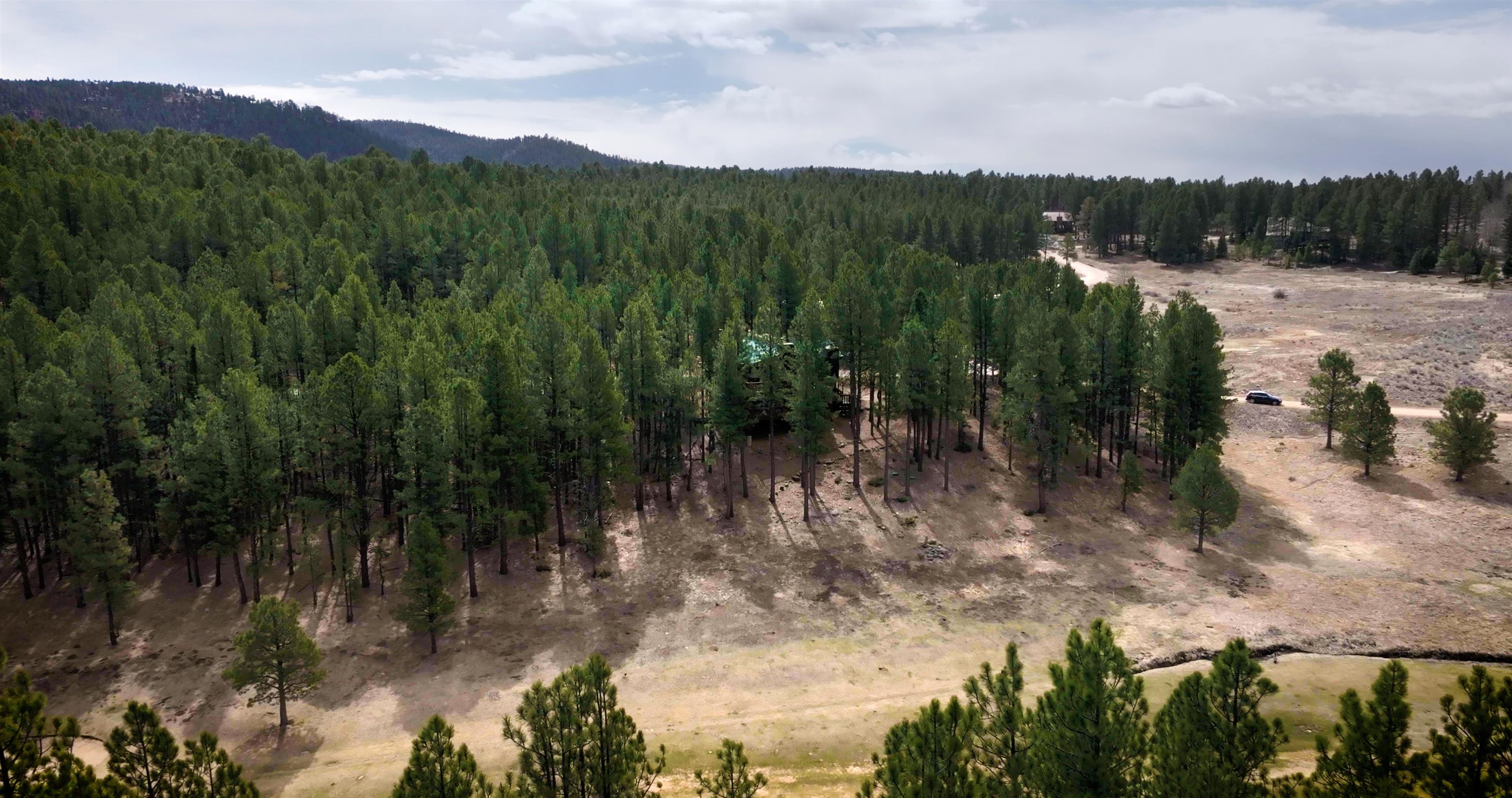 15 Champions Terrace, Angel Fire, New Mexico image 40