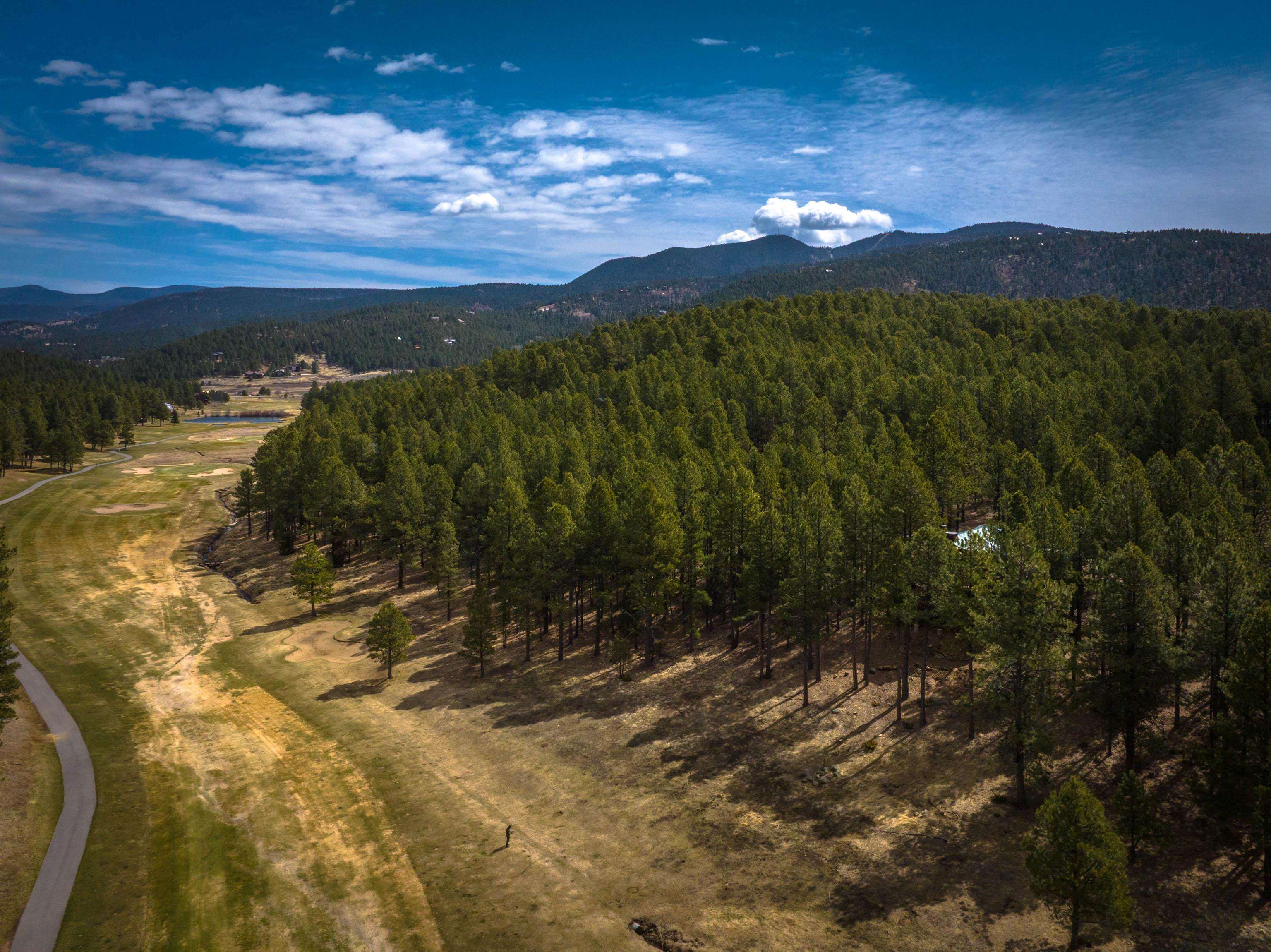 15 Champions Terrace, Angel Fire, New Mexico image 46
