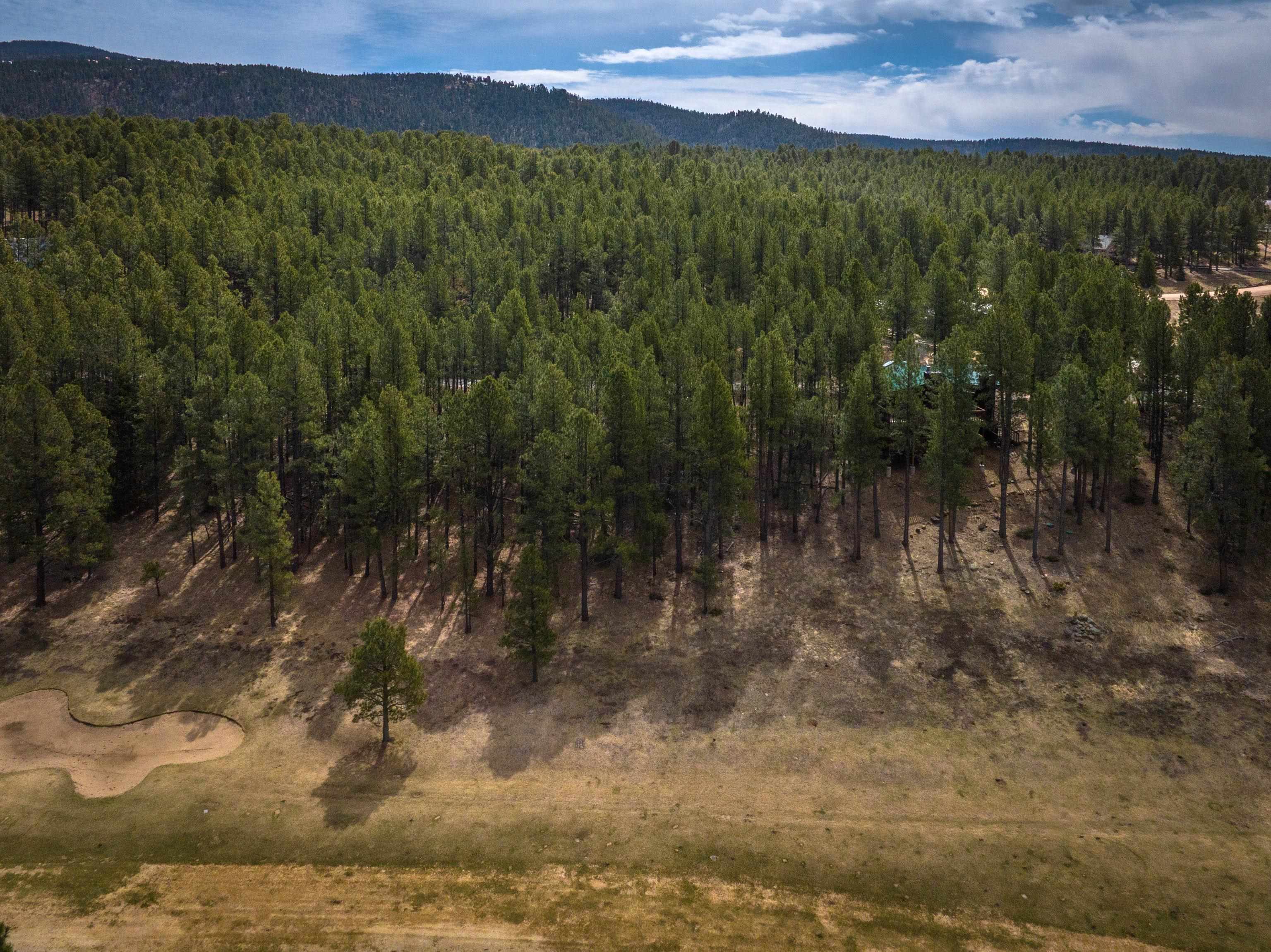 15 Champions Terrace, Angel Fire, New Mexico image 47