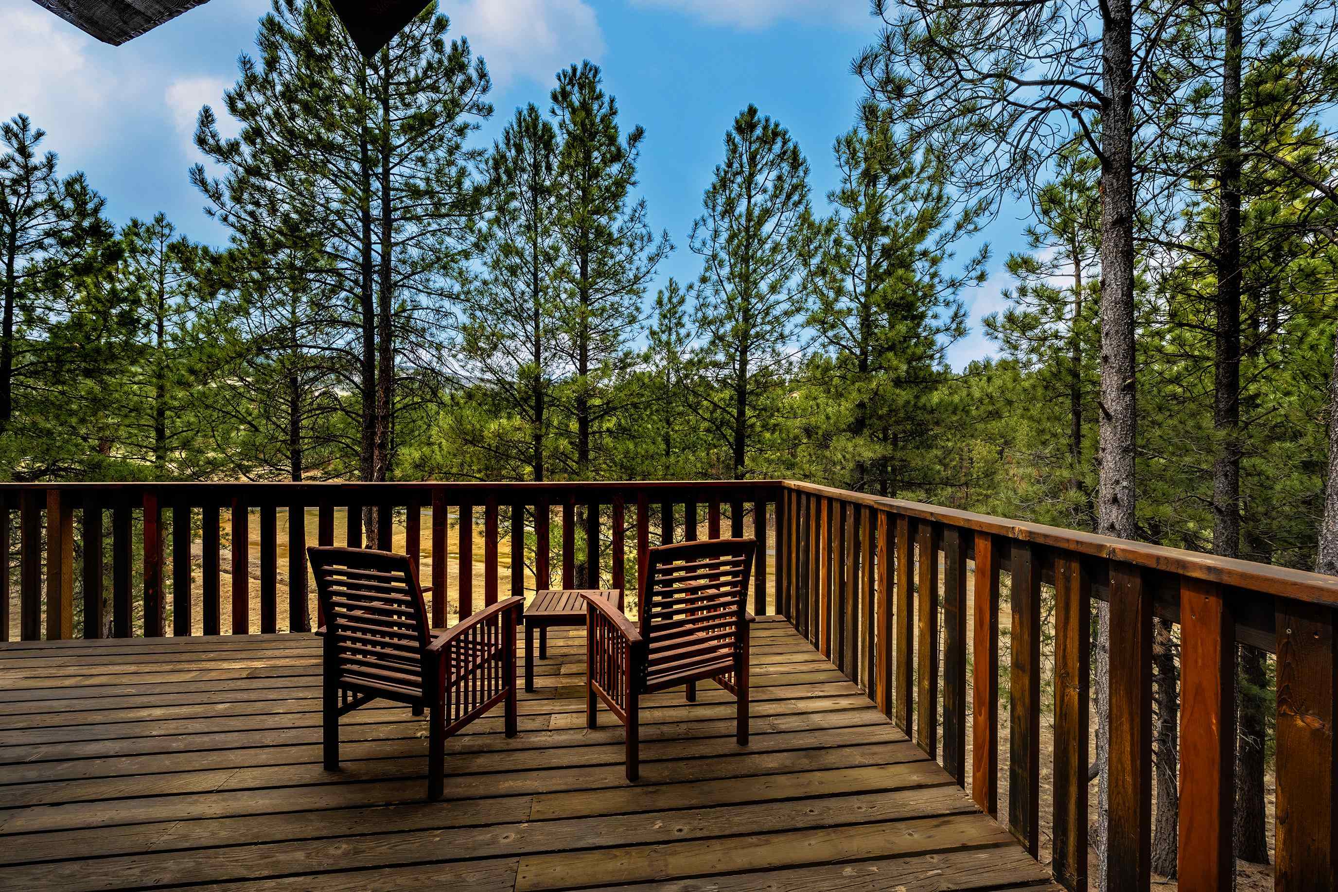 15 Champions Terrace, Angel Fire, New Mexico image 28