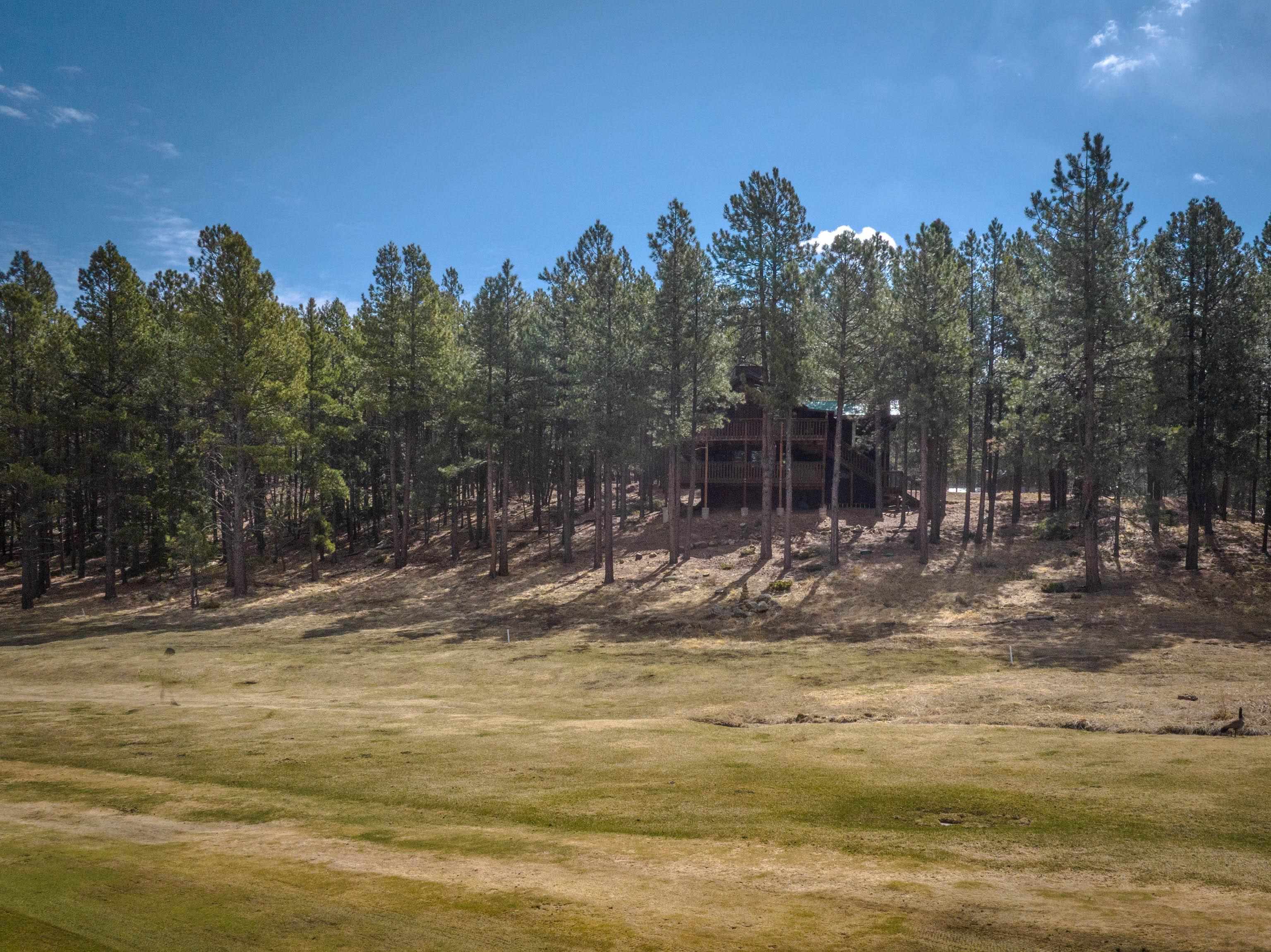 15 Champions Terrace, Angel Fire, New Mexico image 41