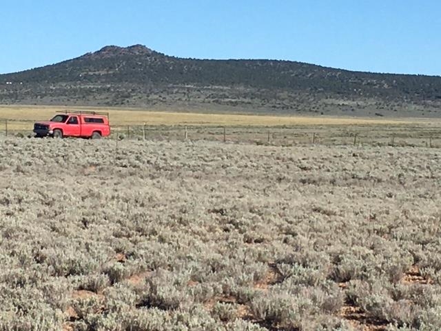 Montoya Road, Carson, New Mexico image 4