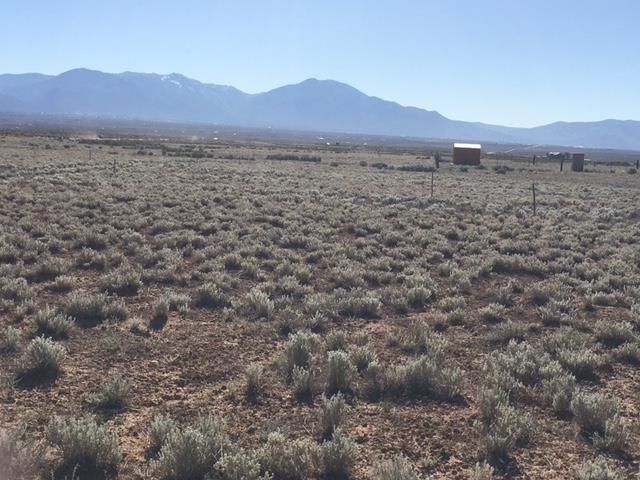 Montoya Road, Carson, New Mexico image 2