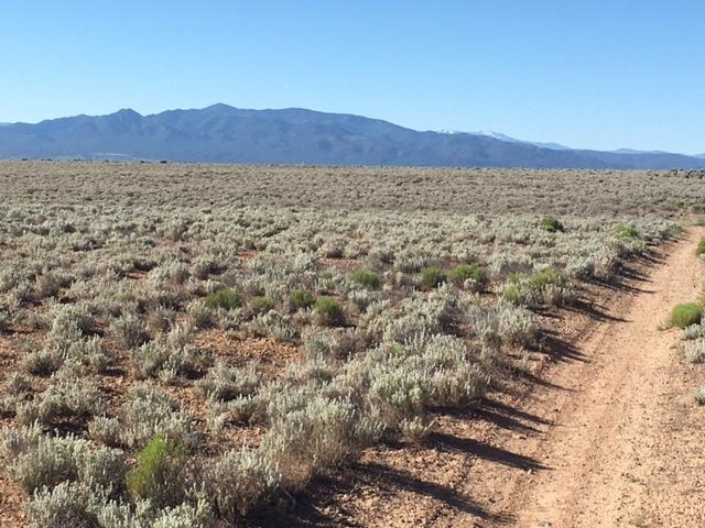 Montoya Road, Carson, New Mexico image 9