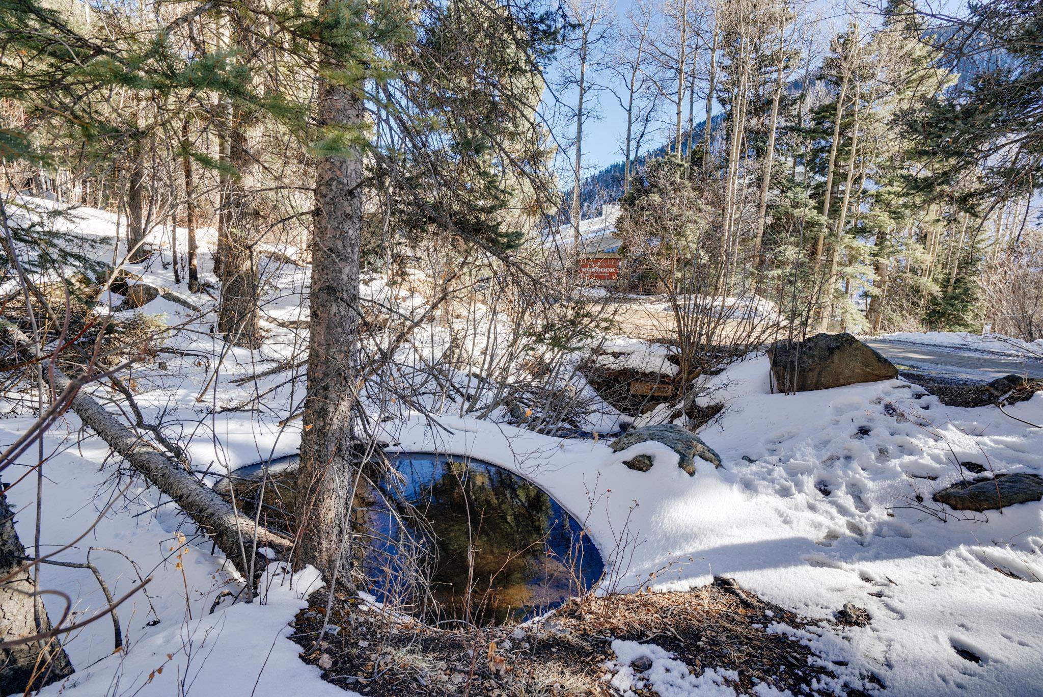 15 Twining Rd #1C, Taos Ski Valley, New Mexico image 37