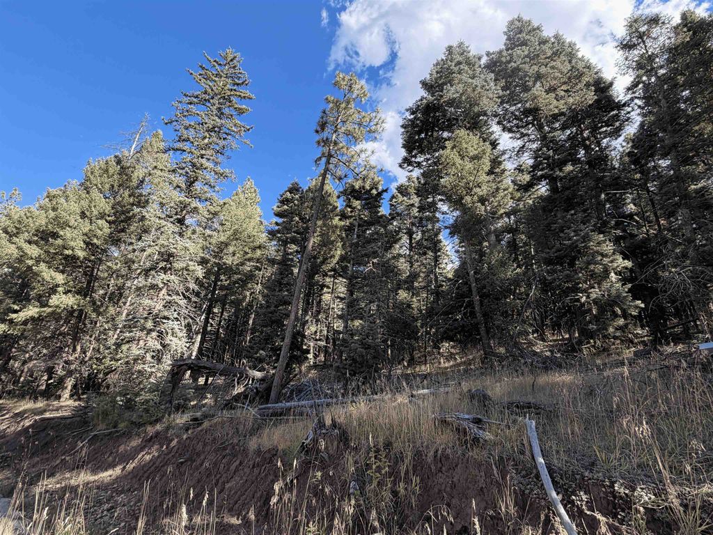 Photo of Lot 38 Vail Ave, Angel Fire, NM 87710 (MLS # 114095)