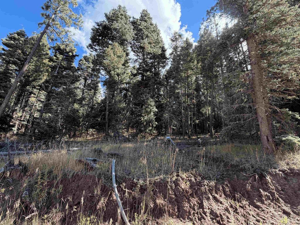 Photo of Lot 38 Vail Ave, Angel Fire, NM 87710 (MLS # 114095)