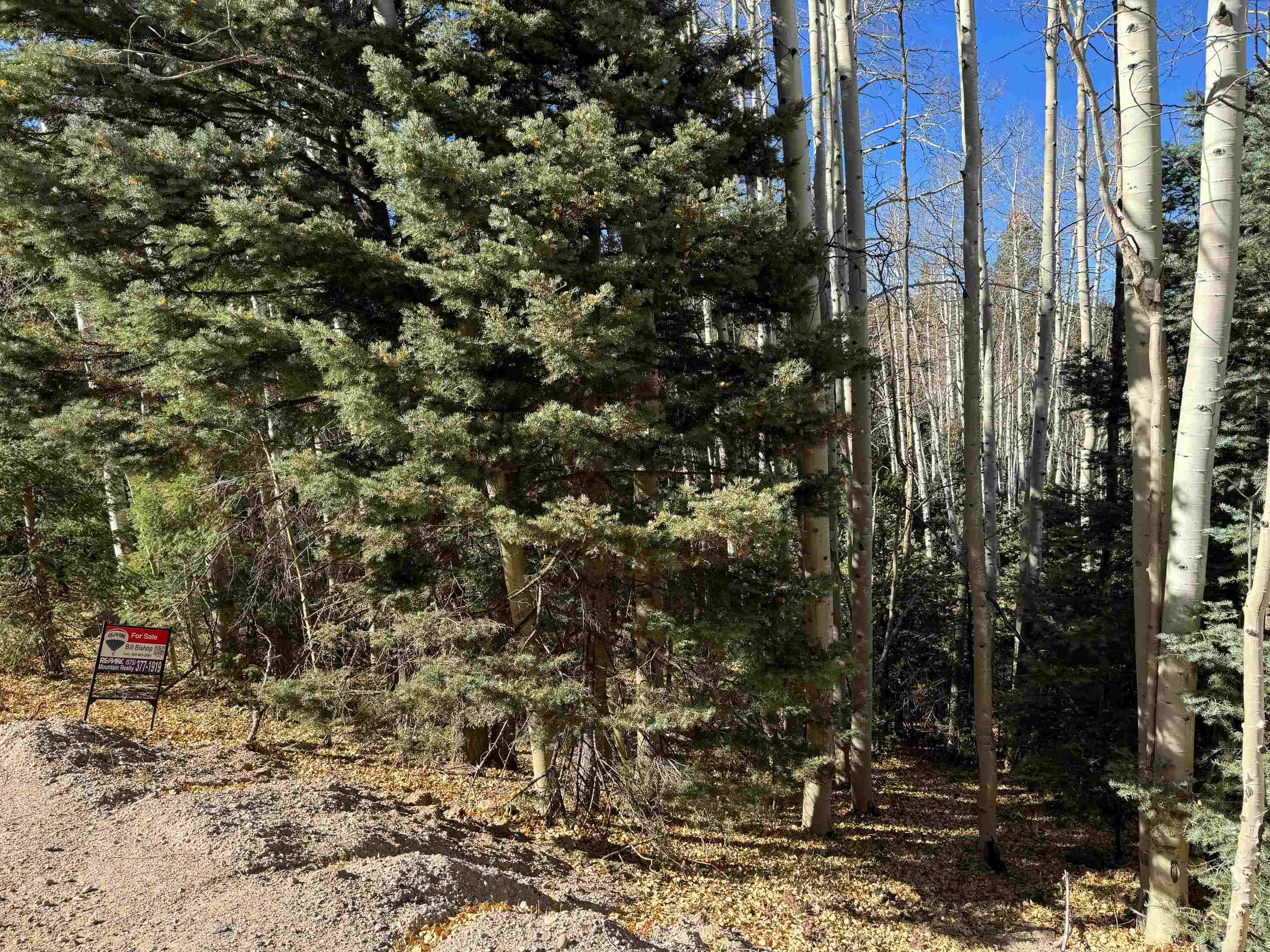Lot 721 Santo Domingo Trail, Angel Fire, Florida image 3