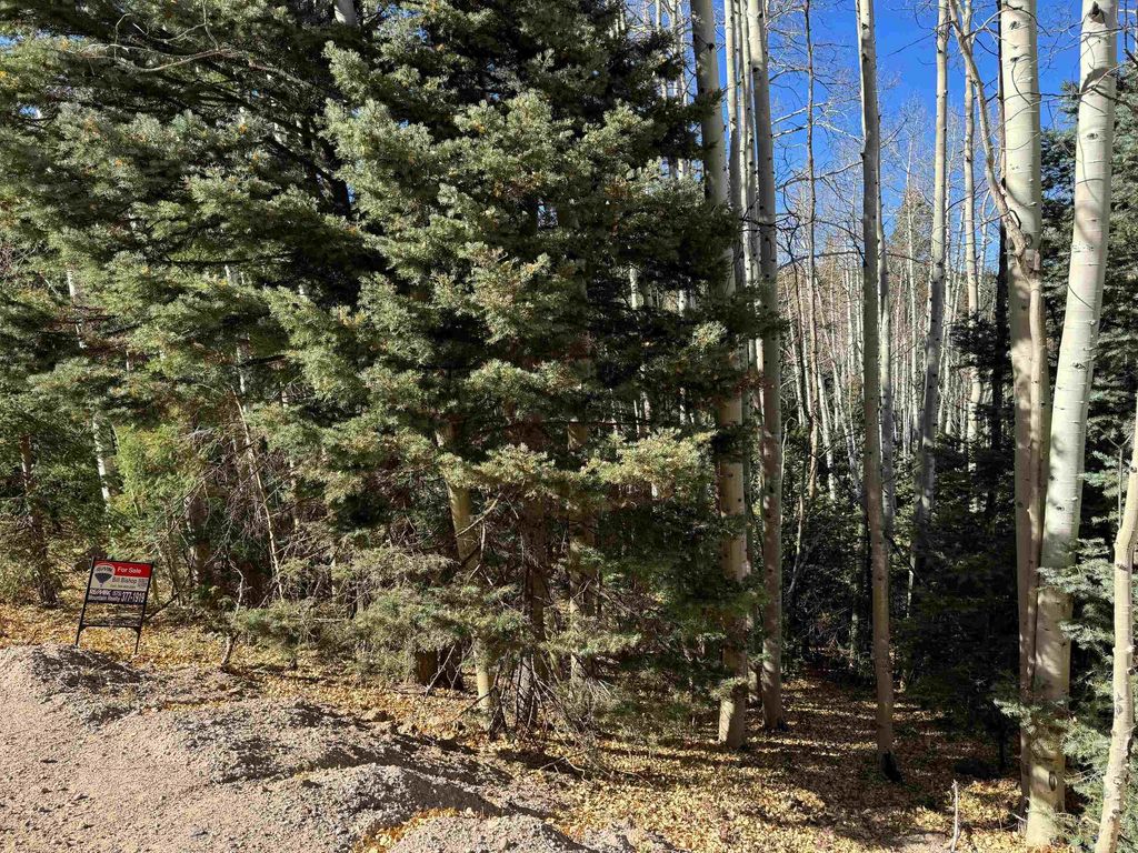 Photo of Lot 721 Santo Domingo Trail, Angel Fire, NM 87710 (MLS # 111011)
