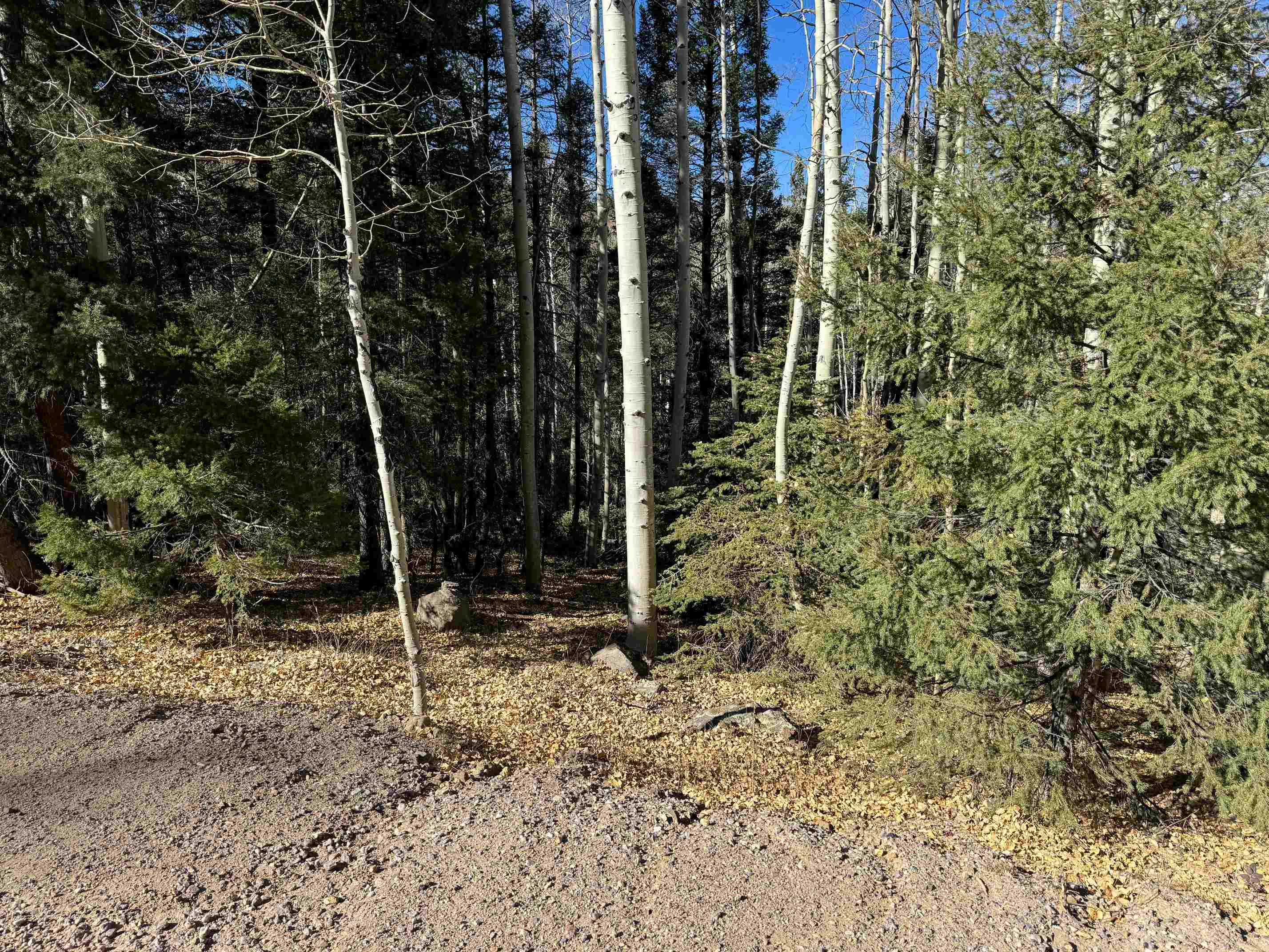Lot 721 Santo Domingo Trail, Angel Fire, Florida image 1