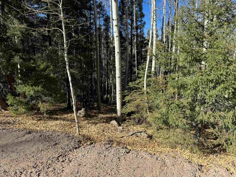 Photo of Lot 721 Santo Domingo Trail, Angel Fire, NM 87710 (MLS # 111011)