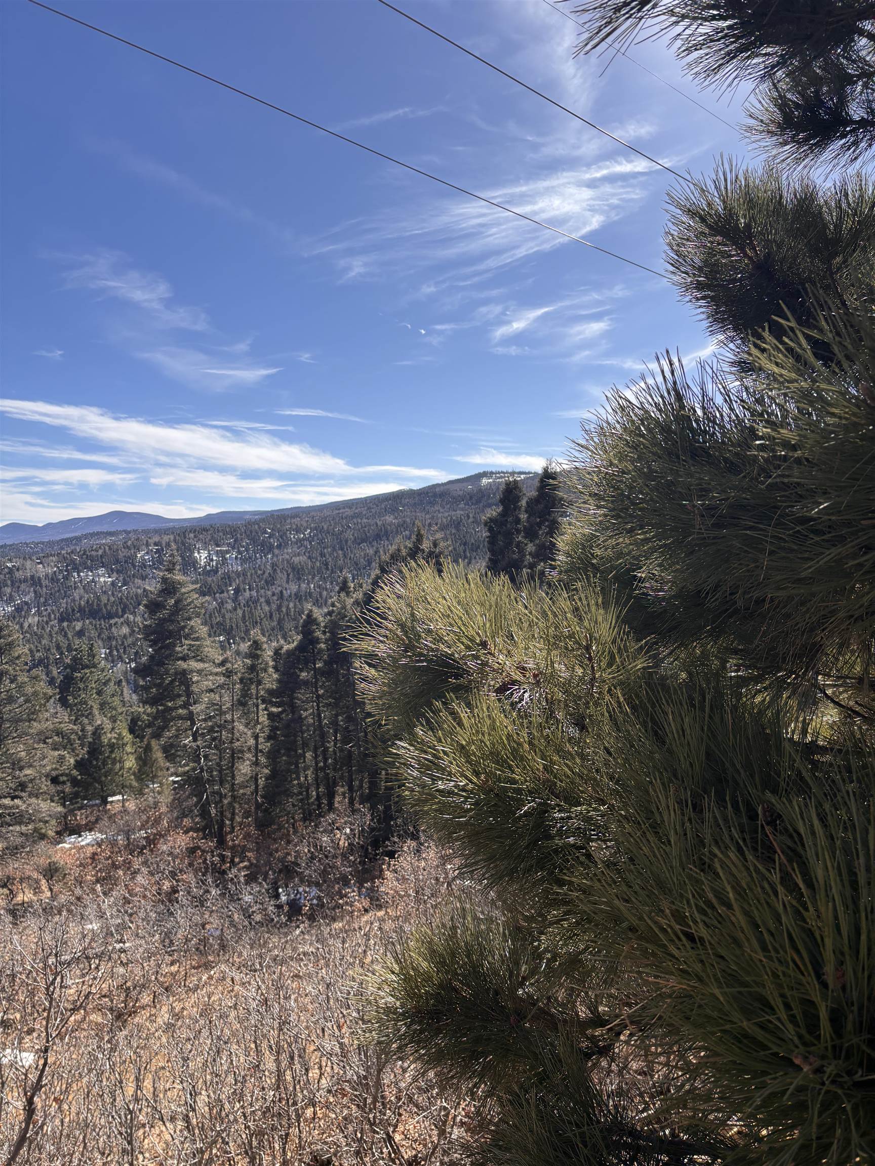 Lot 2 Sierra Blanca Trl, Angel Fire, New Mexico image 7