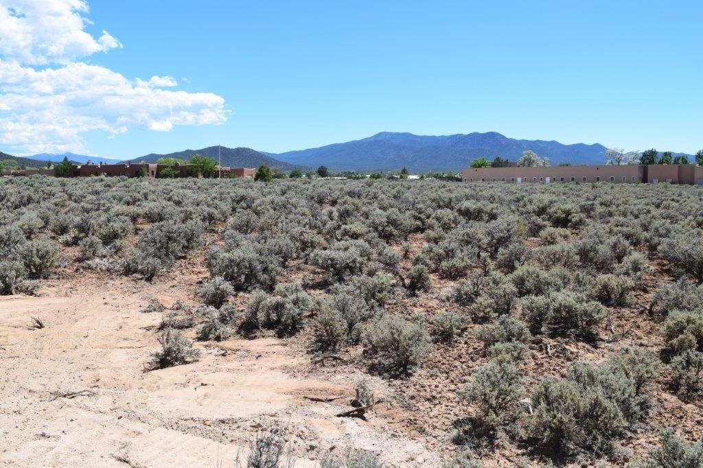 Tr A Roy Road, Taos, New Mexico image 5