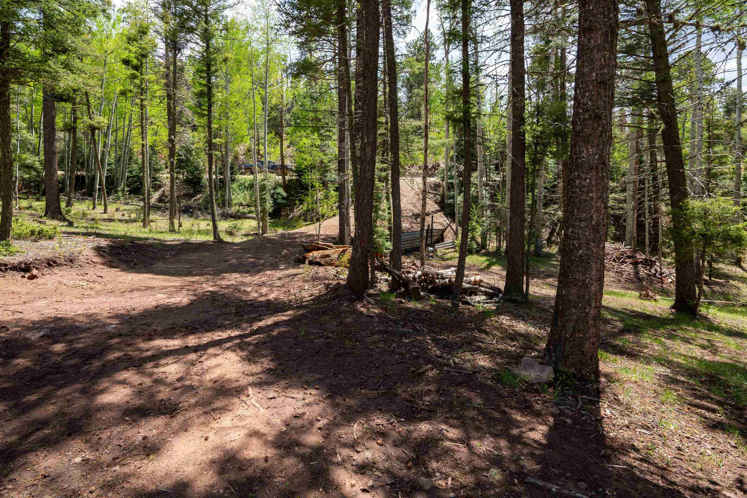 Lot 1572 Luna Dr, Angel Fire, New Mexico image 9