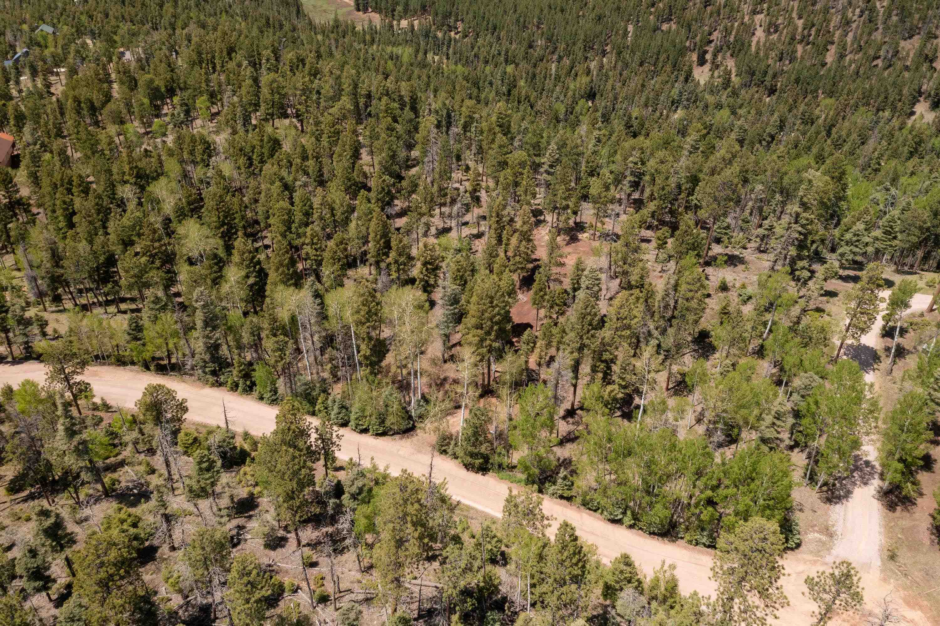 Lot 1572 Luna Dr, Angel Fire, New Mexico image 4