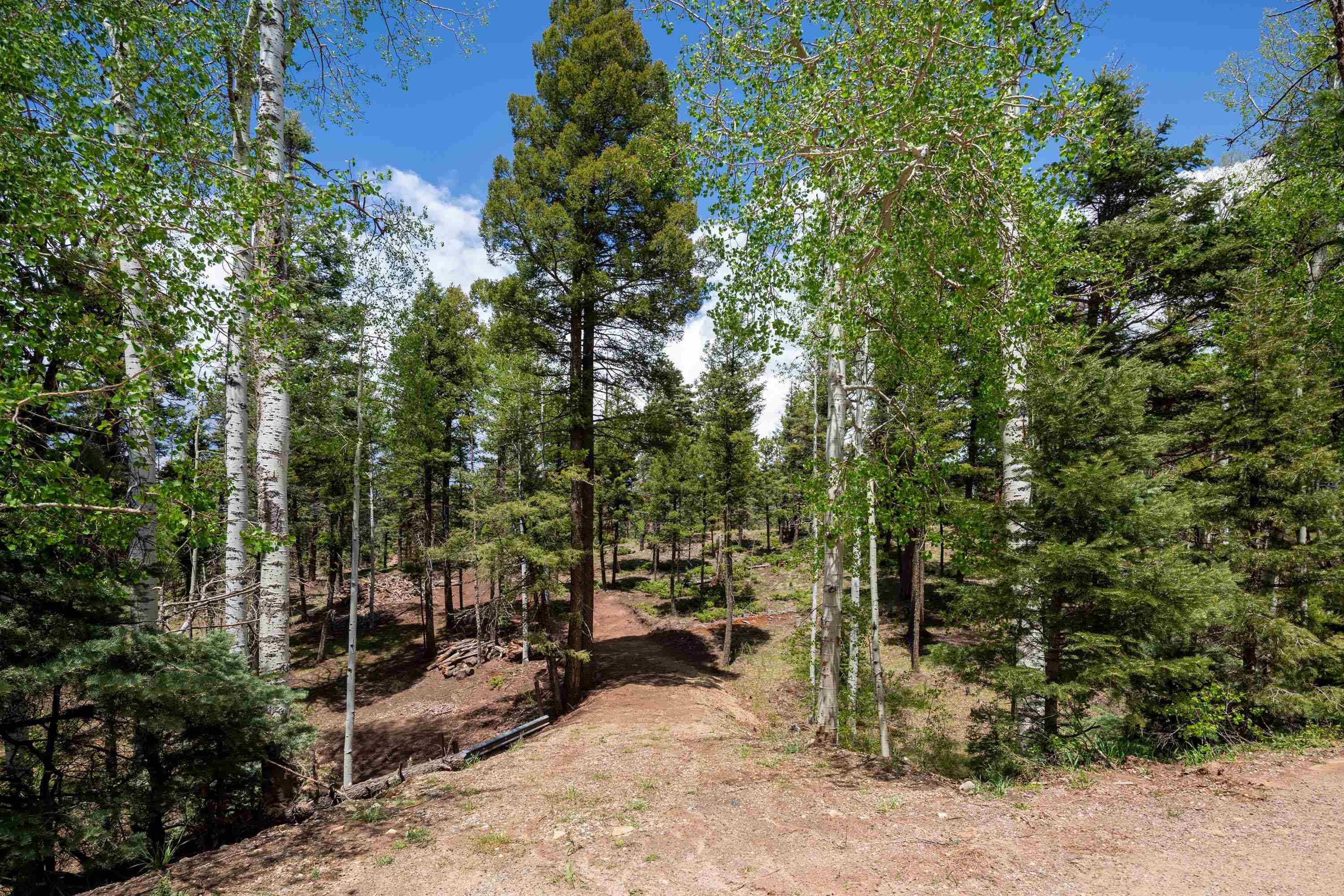 Lot 1572 Luna Dr, Angel Fire, New Mexico image 3