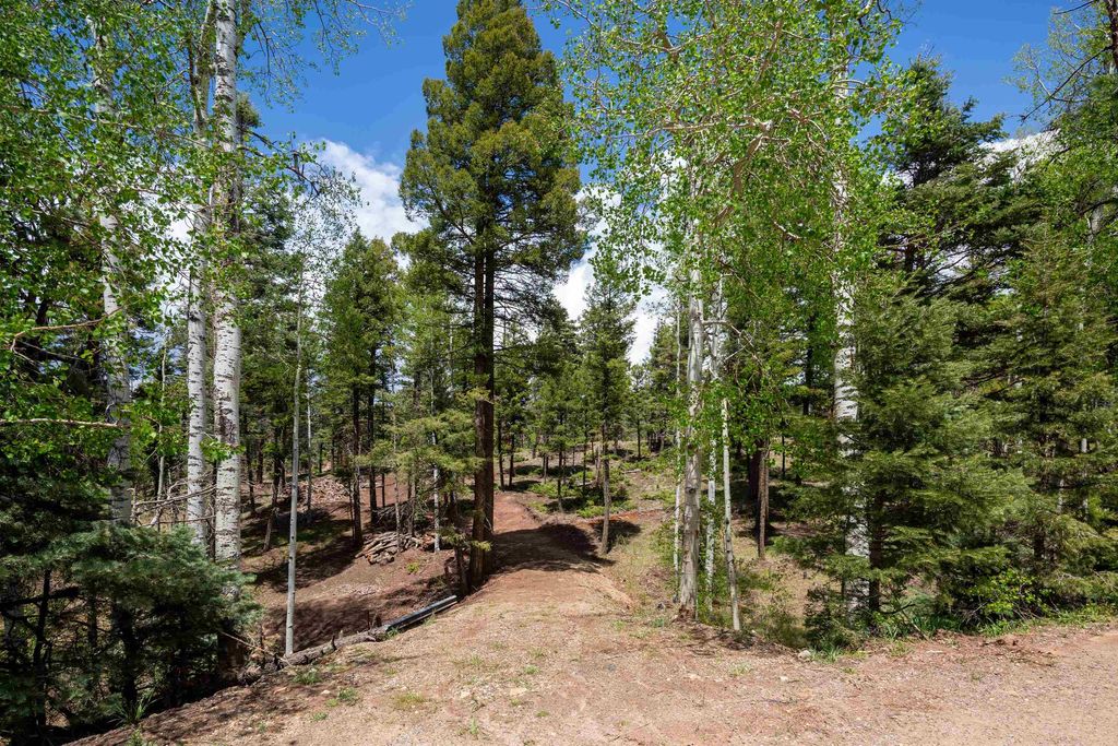 Photo of Lot 1572 Luna Dr, Angel Fire, NM 87710 (MLS # 113405)