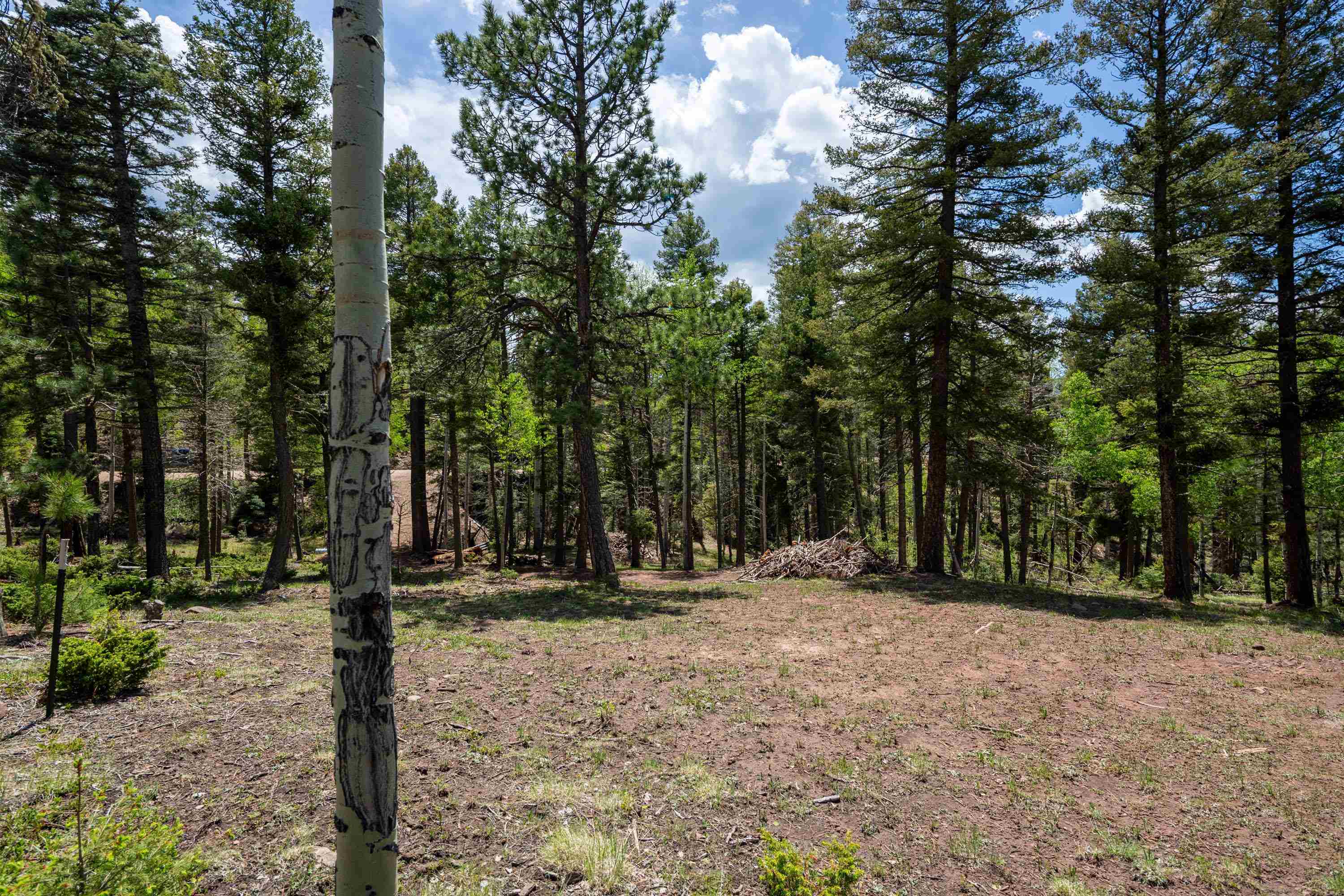 Lot 1572 Luna Dr, Angel Fire, New Mexico image 11