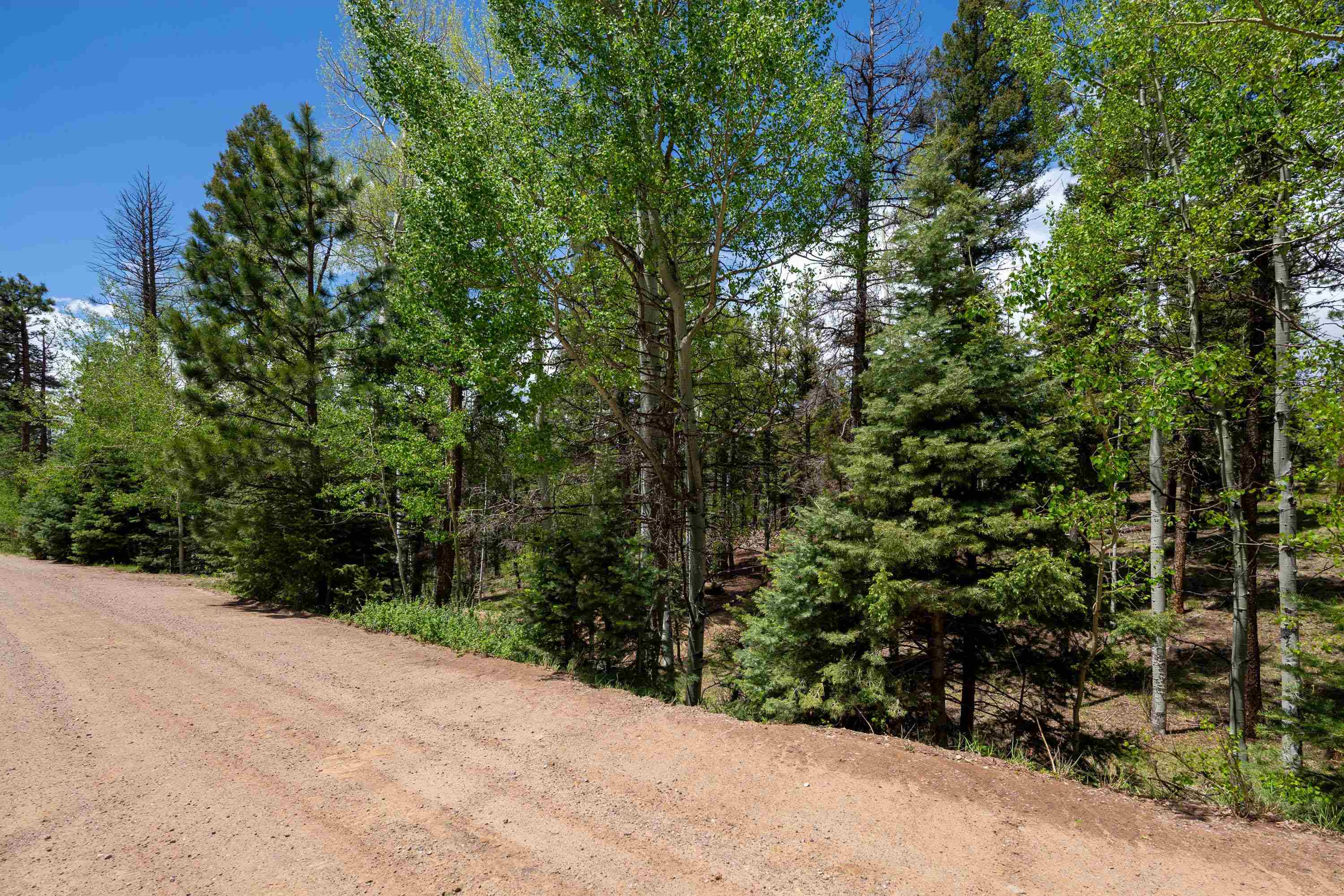 Lot 1572 Luna Dr, Angel Fire, New Mexico image 12