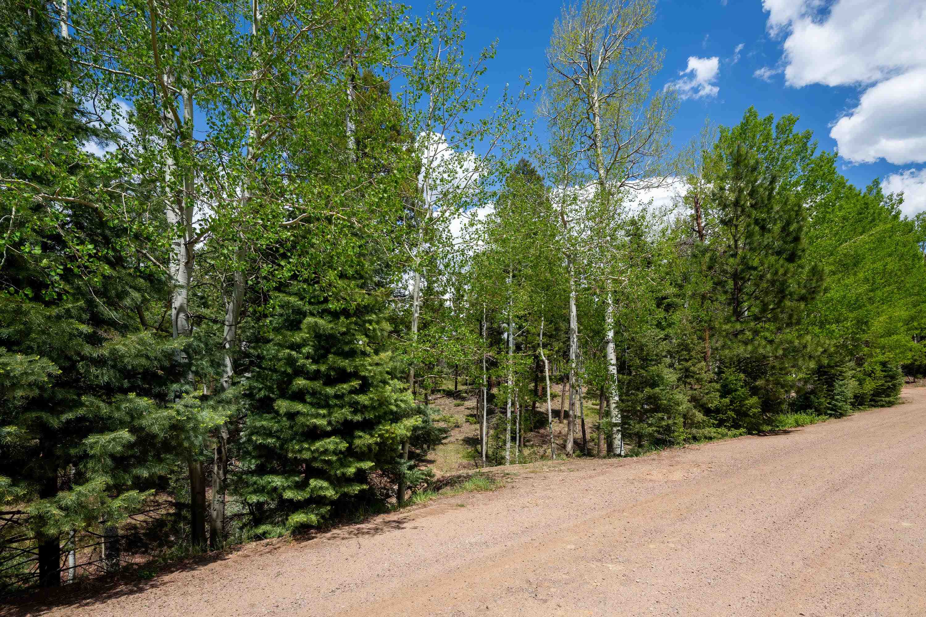 Lot 1572 Luna Dr, Angel Fire, New Mexico image 7