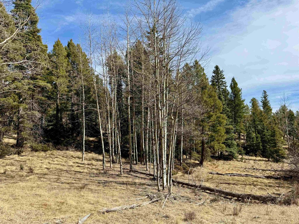 Photo of Lot 1024 Starshine Overlook, Angel Fire, NM 87710 (MLS # 114726)