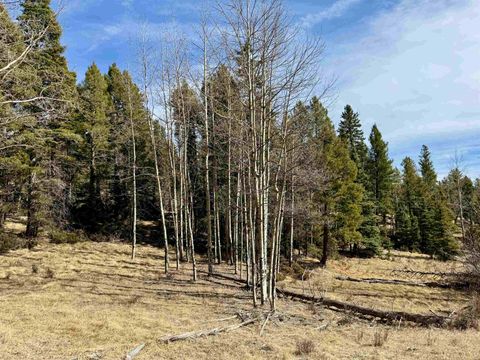 Vacant Land For Sale - LOT 1024 Starshine Overlook<br/> Angel Fire, NM 87710
