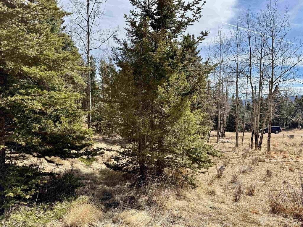 Photo of Lot 1024 Starshine Overlook, Angel Fire, NM 87710 (MLS # 114726)