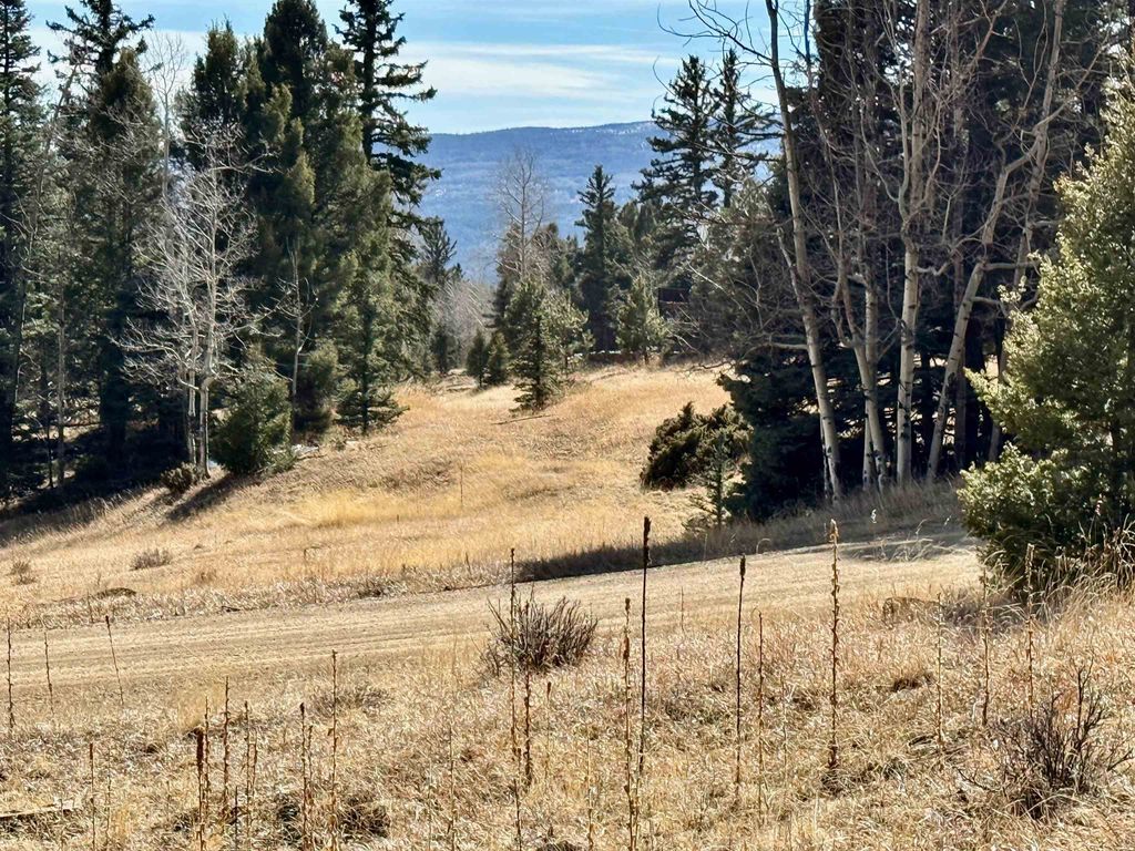 Photo of Lot 1024 Starshine Overlook, Angel Fire, NM 87710 (MLS # 114726)