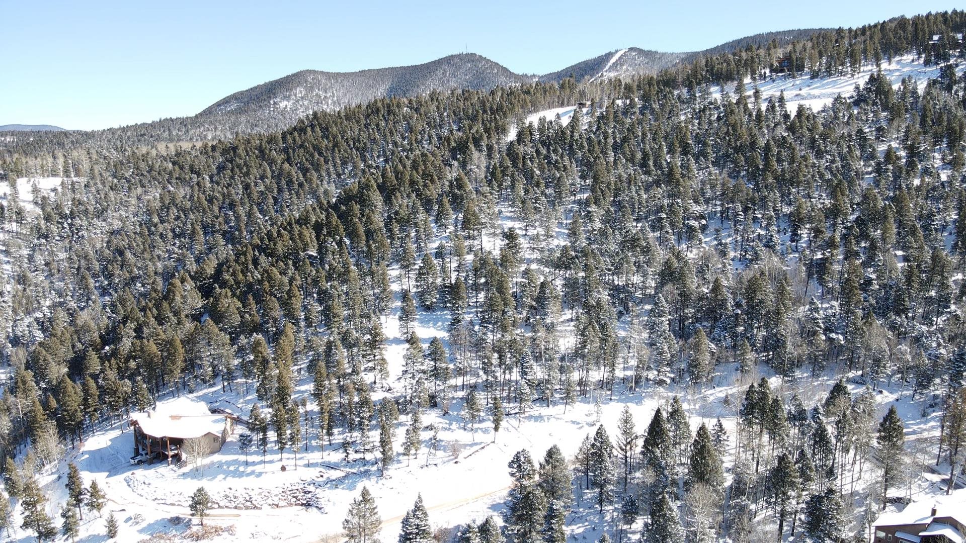233 El Camino Real, Angel Fire, New Mexico image 44