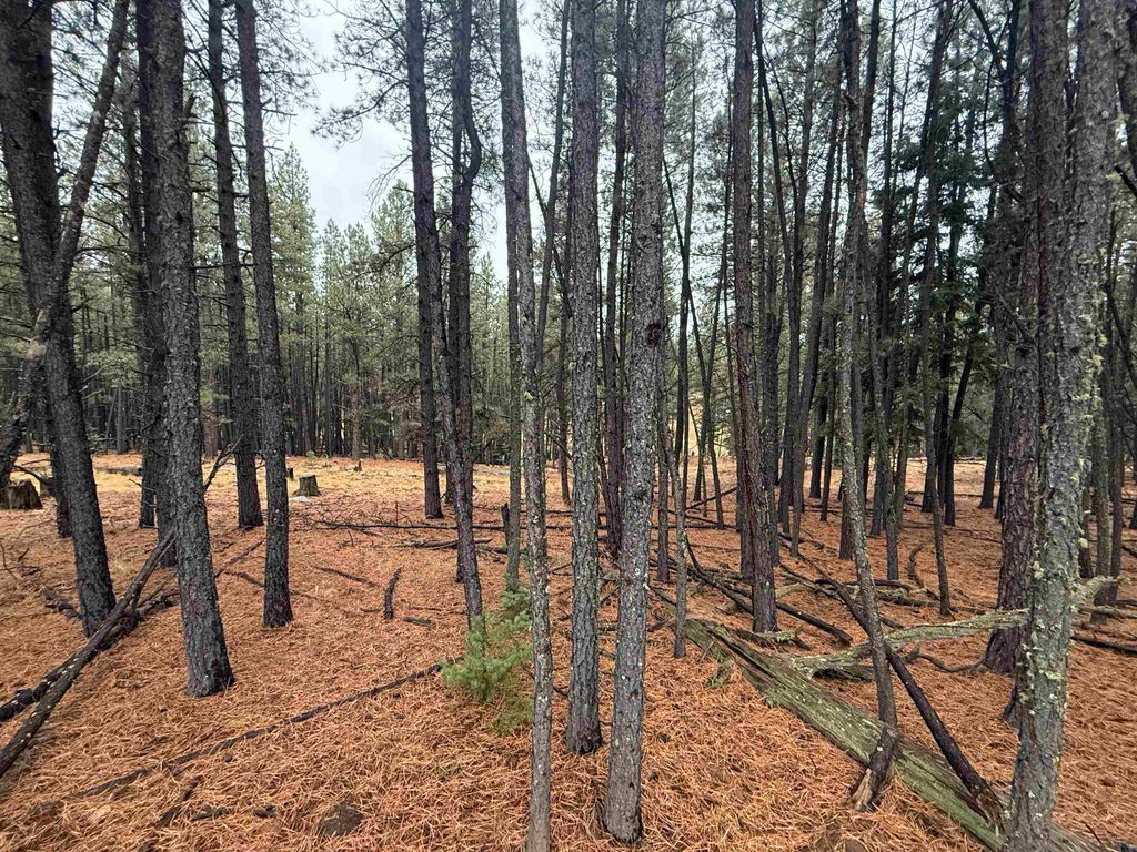 Photo of Lot 75 San Juan Dr, Angel Fire, NM 87710 (MLS # 114312)