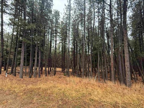 Photo of Lot 75 San Juan Dr, Angel Fire, NM 87710 (MLS # 114312)