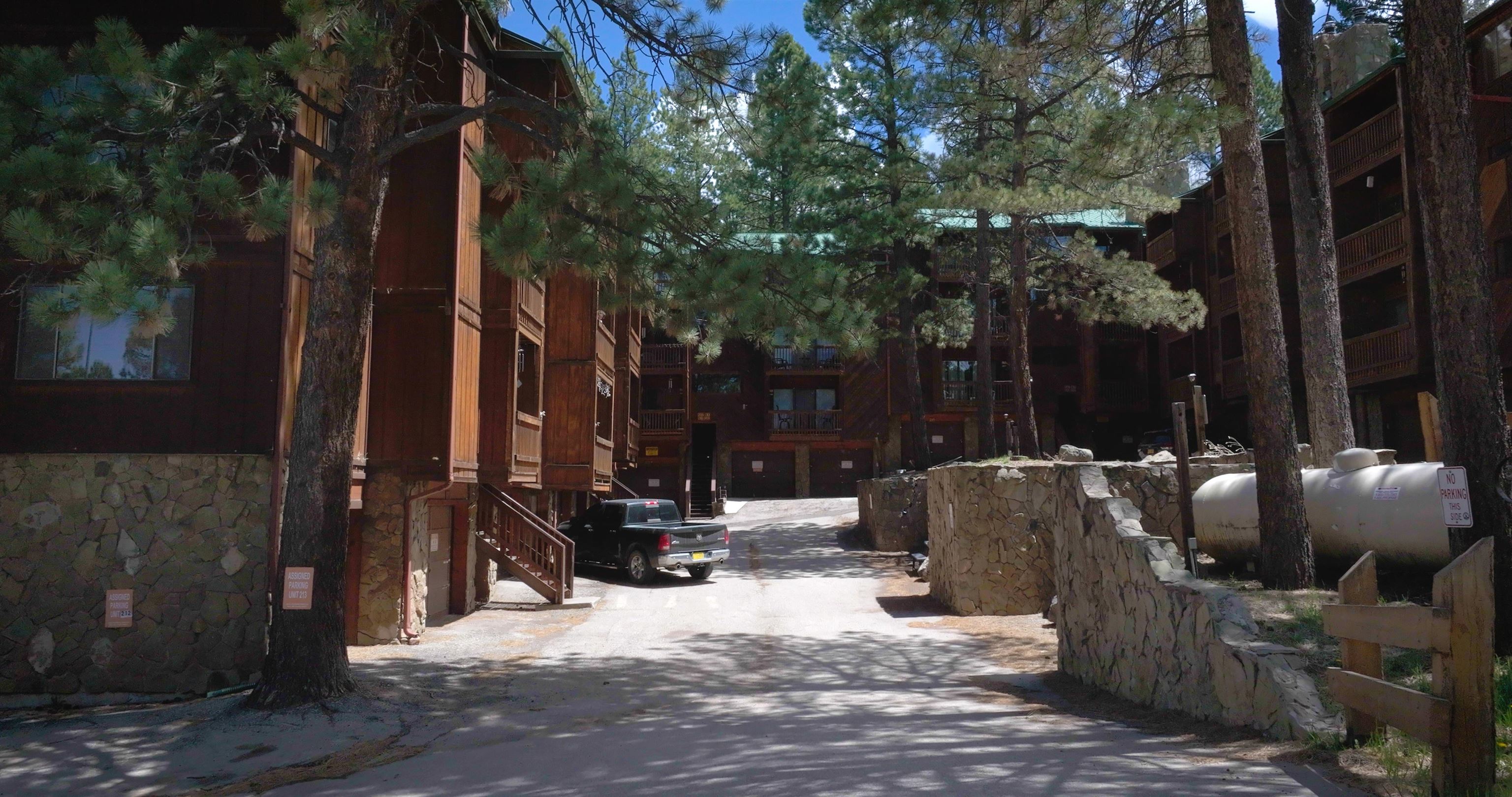 10 Jackson Hole Rd #103, Angel Fire, New Mexico image 20