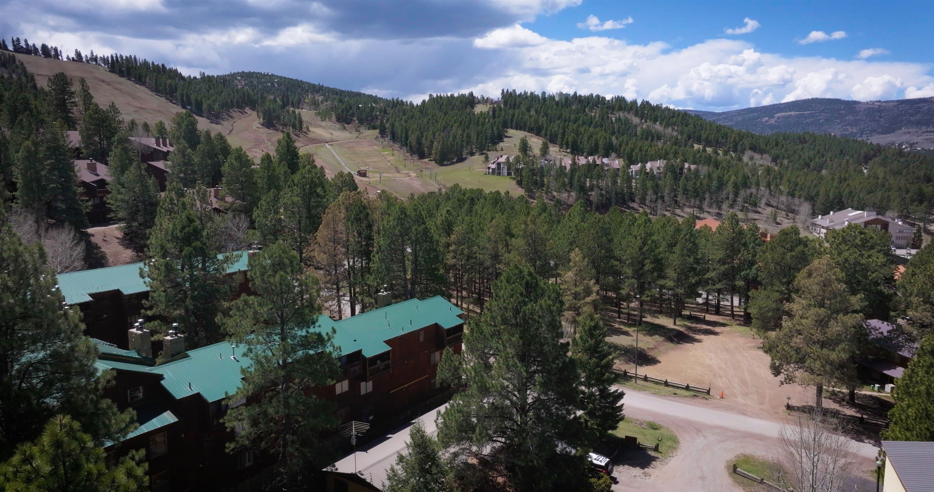 10 Jackson Hole Rd #103, Angel Fire, New Mexico image 27
