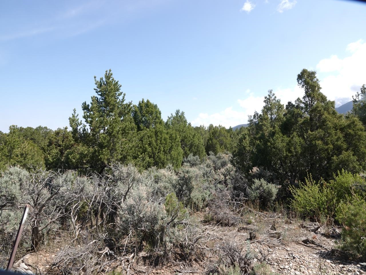 Off Lorian, Questa, New Mexico image 6