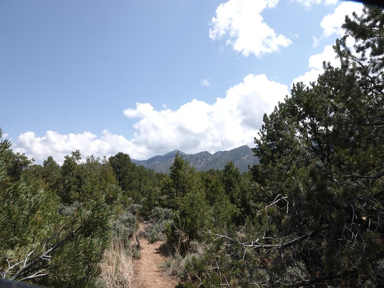 Off Lorian, Questa, New Mexico image 8