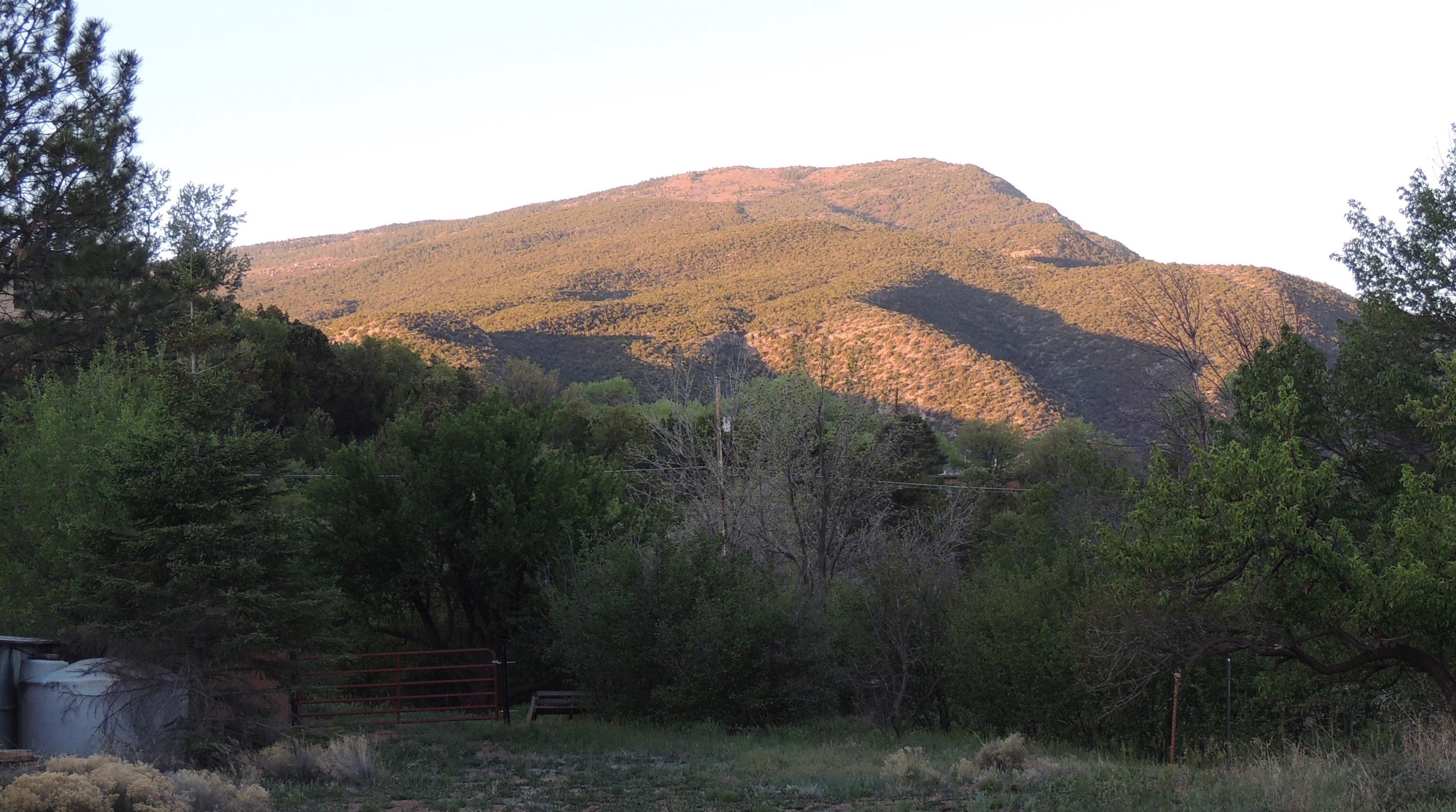 83 Paseo De San Antonio, Placitas, New Mexico image 37