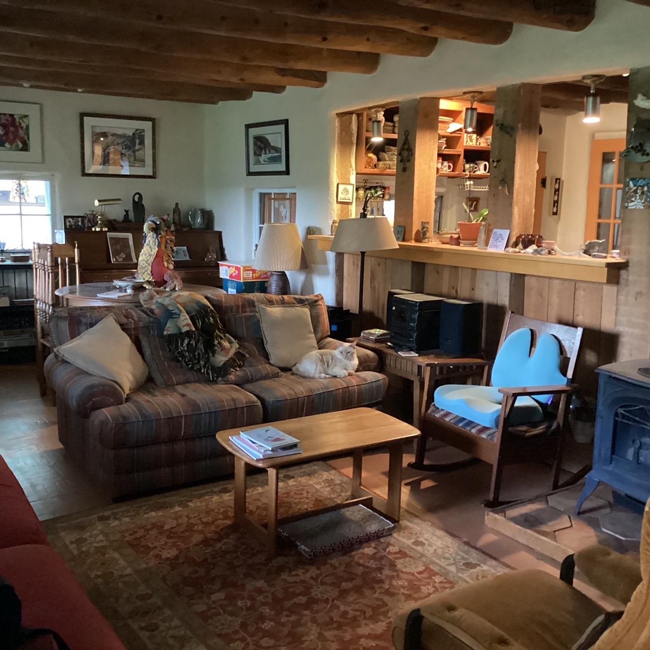 59 Private Drive 1105 Dr, Embudo, New Mexico image 18