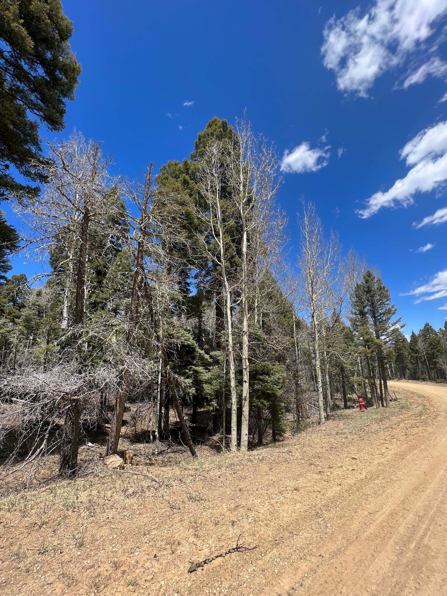 Lot 54 Vermejo Cir, Angel Fire, New Mexico image 4