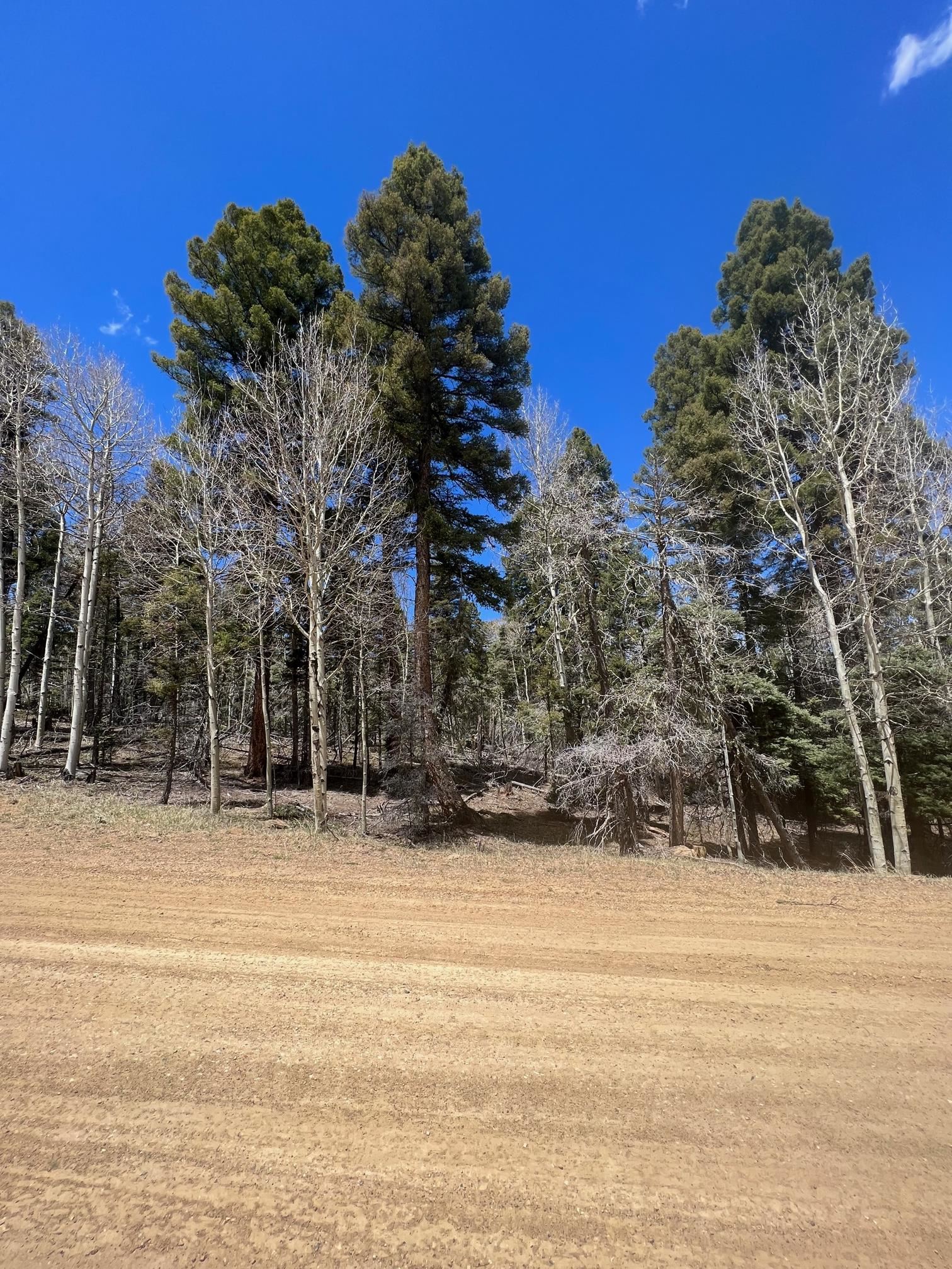 Lot 54 Vermejo Cir, Angel Fire, New Mexico image 1