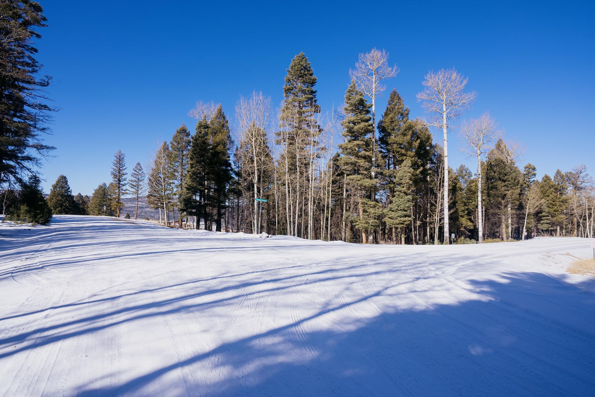 Lot 611 Panorama Way, Angel Fire, New Mexico image 6