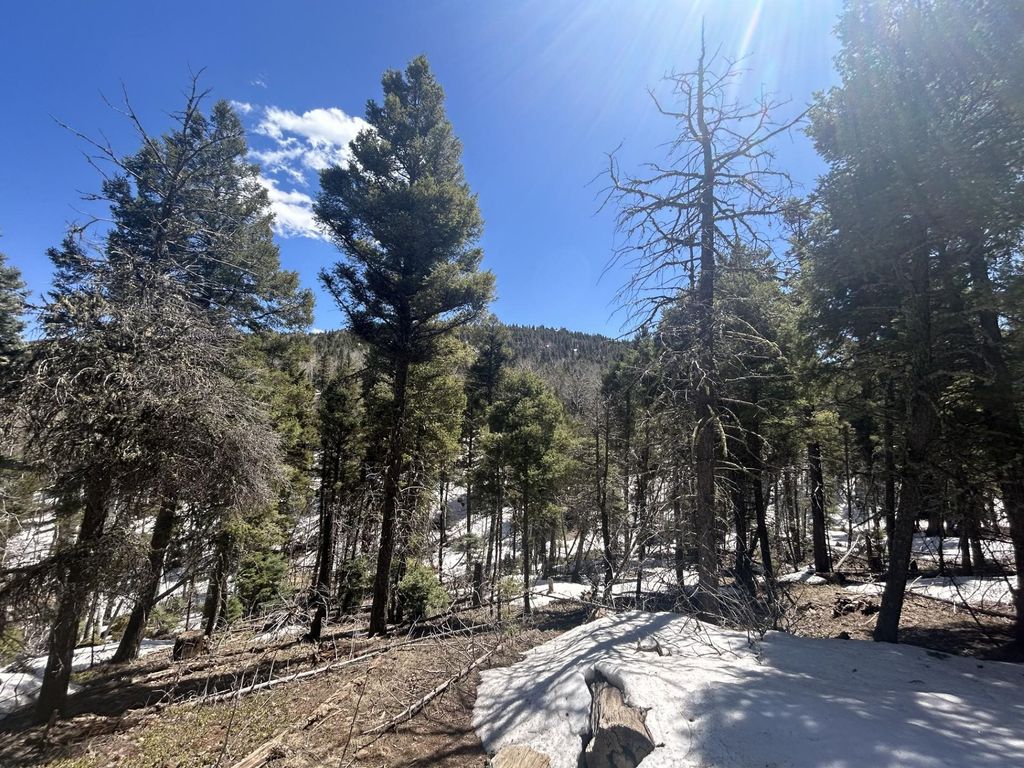 Photo of Lot 369 Vail Loop, Angel Fire, NM 87710 (MLS # 111564)